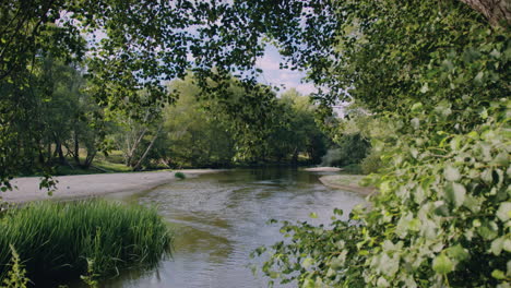 Río-Dao-Entre-árboles-Y-Hojas-Tiro-Largo-A-Cámara-Lenta