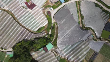 general landscape view of the brinchang district within the cameron highlands area of malaysia