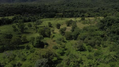 uncleared wilderness in the brazilian savannah still safe from deforestation - aerial pull back view