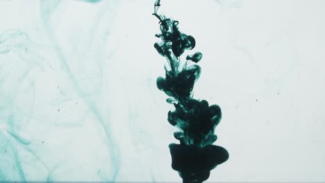 Dark Green Ink Sprayed Into Water On A White Background