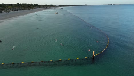 people swimming at morning into shark protective net in coogee beach, perth city