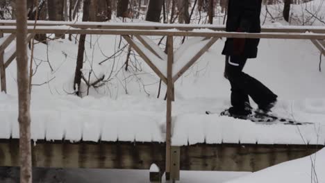 Schneeschuhwandern-Auf-Der-Brücke