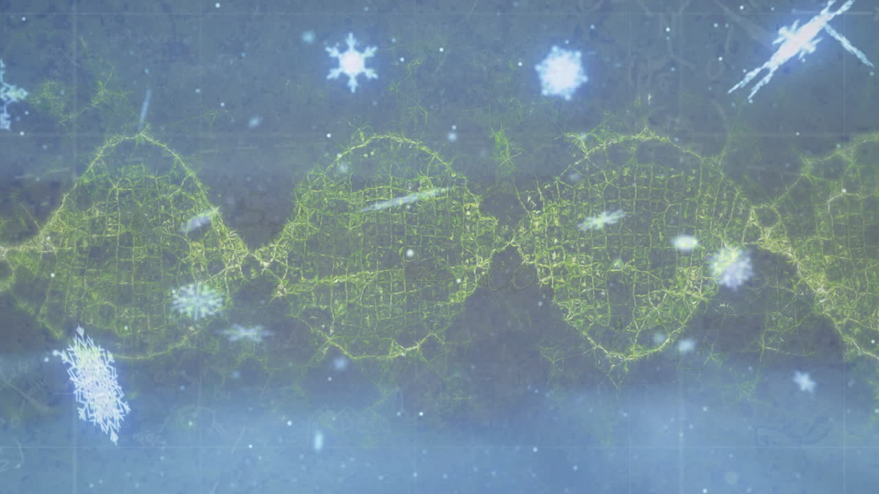 회색 배경에 노란색 파도 위에 눈송이의 애니메이션