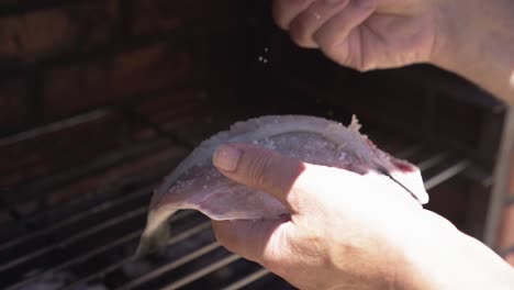 salazón de pescado en cámara lenta