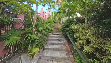 99 steps charlotte amalie st