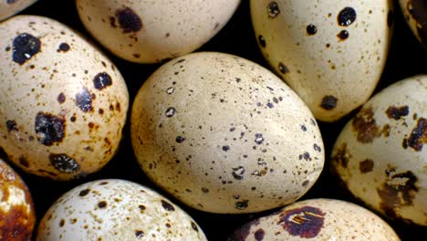 quail eggs rotation background