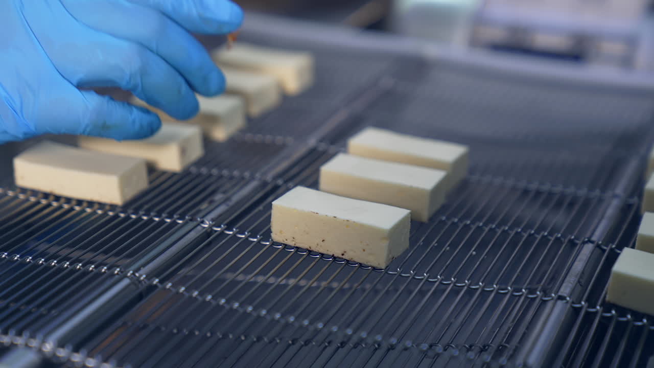 Milky bars of sweets being put on the moving conveyor line. Hands in blue gloves lay pigeon's milk candies on the grid to be covered with chocolate. Desserts production close up.
