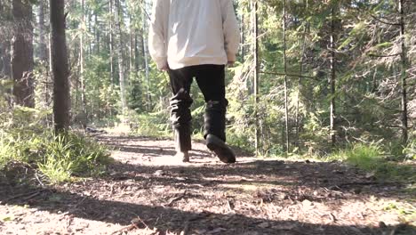 person hiking in forest