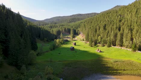 stunning aerial view of iezer lake encircled by lush fir forests in sadova, romania