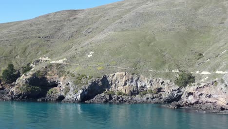 People-walking-on-track-across-barren-volcanic-peninsula-as-beautiful-turquoise-ocean-ripples---Godley-Head-Loop-Track,-Banks-Peninsula