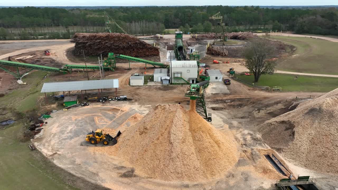Tratores carregam polpa moída de troncos de árvores
