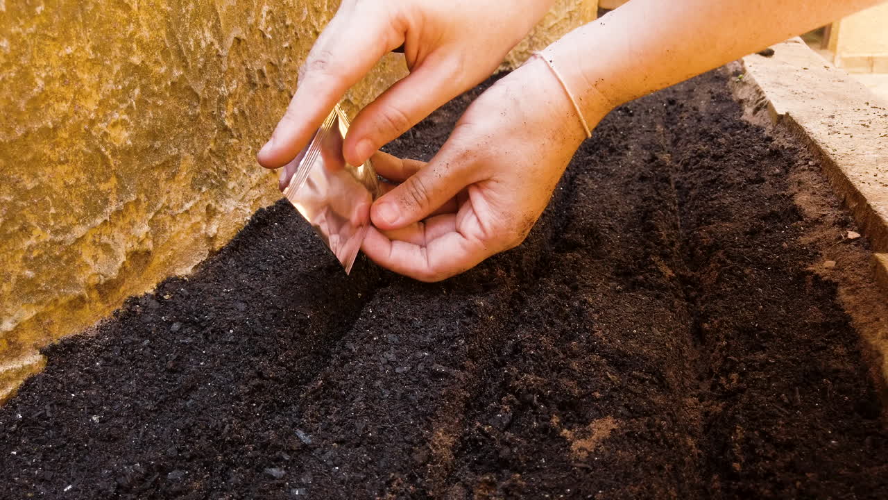 mujer plantando semillas en el huerto casero