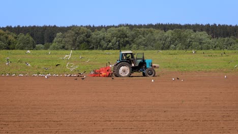 Landwirtschaftliche-Arbeiten-An-Einem-Traktor.-Landwirt-Sät-Getreide.-Hungrige-Vögel-Fliegen-Hinter-Dem-Traktor-Her-Und-Fressen-Getreide-Vom-Ackerland.