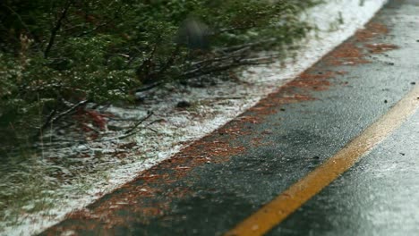 bird on a mountain road