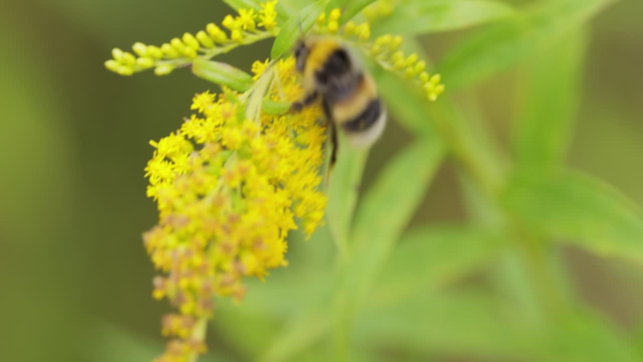 털이 털이 털이 털이 털이 털이 털이 털이