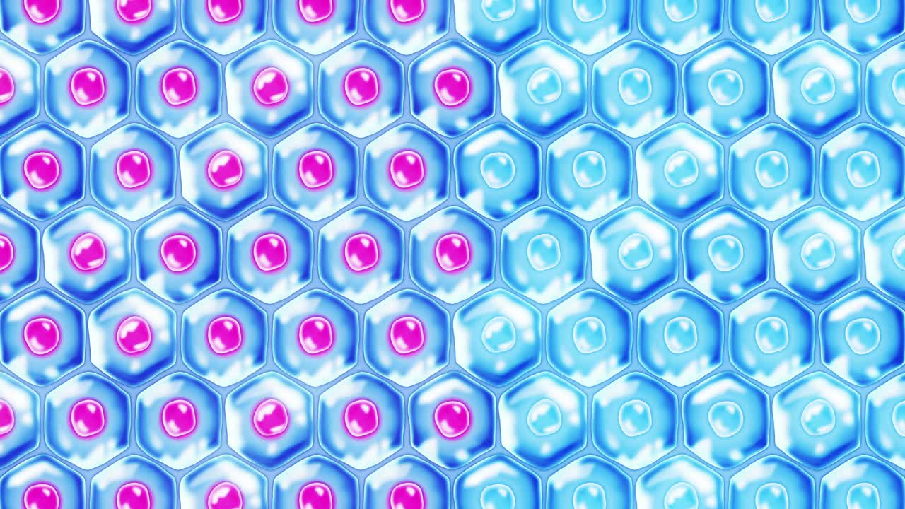 인간 피부 세포: 세포막을 가진 각 세포, 세포 치료, 질병 치료, 핵과 진공, 재생, 루프 애니메이션