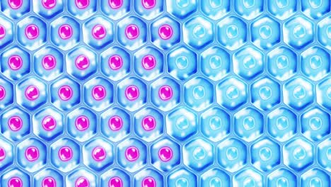 células de la piel humana. cada célula con membrana. terapia celular. tratamiento de enfermedades. núcleo y vacuola. regeneración. animación de bucle.