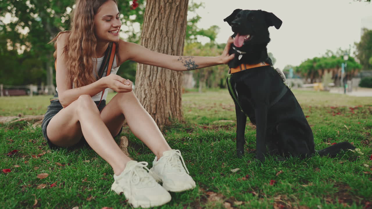 Mulher e cachorro aproveitando um momento no parque