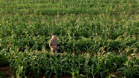 vista aérea de un granjero con tableta digital comprobando la integridad del campo de maíz agrícola