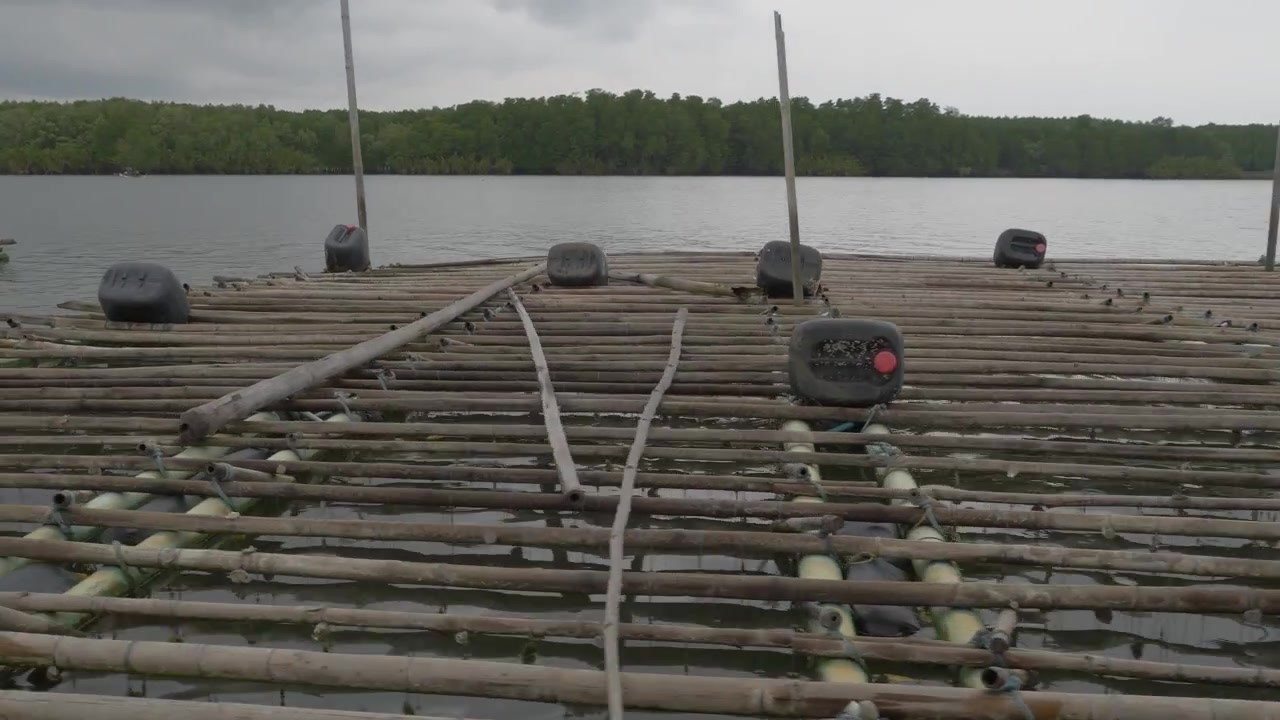 Sporingsvisning fra en bevægelig båd, der passerer en bambus-akvakulturflåde, der flyder på Chanthaburi-floden nær en mangroveskystlinje i Chanthaburi, Thailand