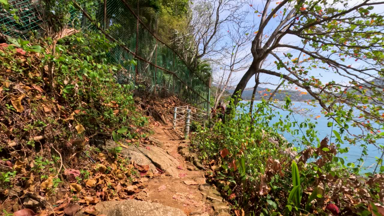 una familia se pasea por un exuberante sendero costero en phuket, tailandia, con follaje vibrante y vistas al océano bajo la brillante luz del día