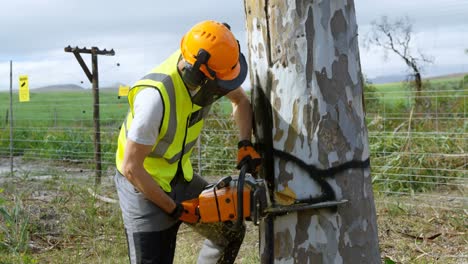 lumberjack cutting down tree in the forest 4k