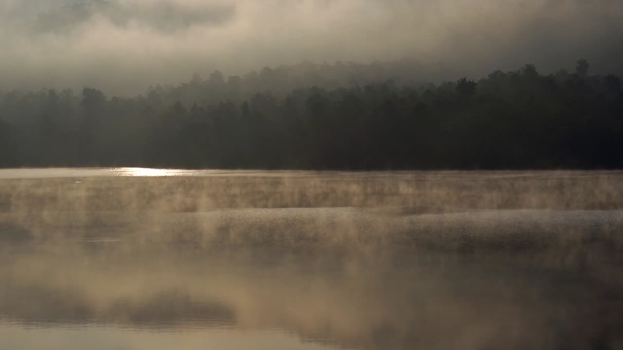 아침 햇살에 호수 위에 안개