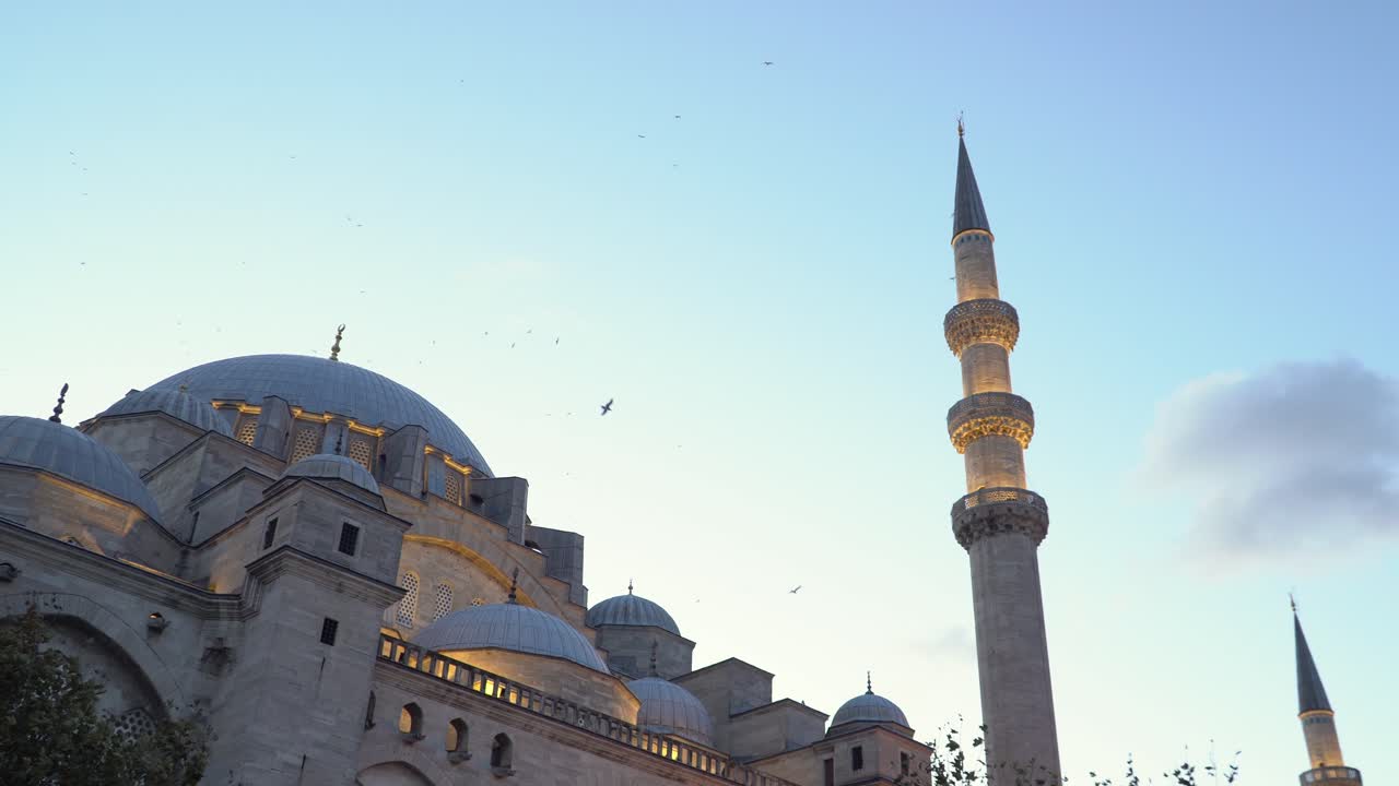 Birds Flying Above Old Süleymaniye Mosque in Istanbul during Sunset