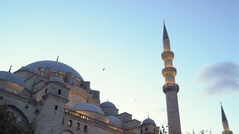 birds flying above old süleymaniye mosque in istanbul during sunset