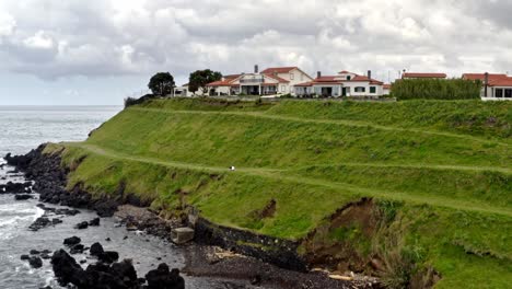 rich houses on stepped grassy sea shore of azores, cloudy day, flyover