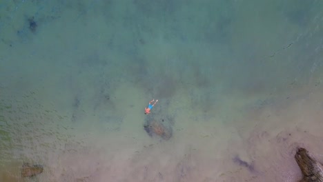 Aerial-Birds-Eye-View-Over-Male-Wearing-Blue-Swimming-Trunks-Snorkelling-Of-Beach-Coastline-Off-Galicia