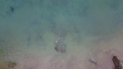 aerial birds eye view over male wearing blue swimming trunks snorkelling of beach coastline off galicia
