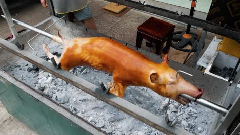 whole pig being turned and roasted on spit by hand