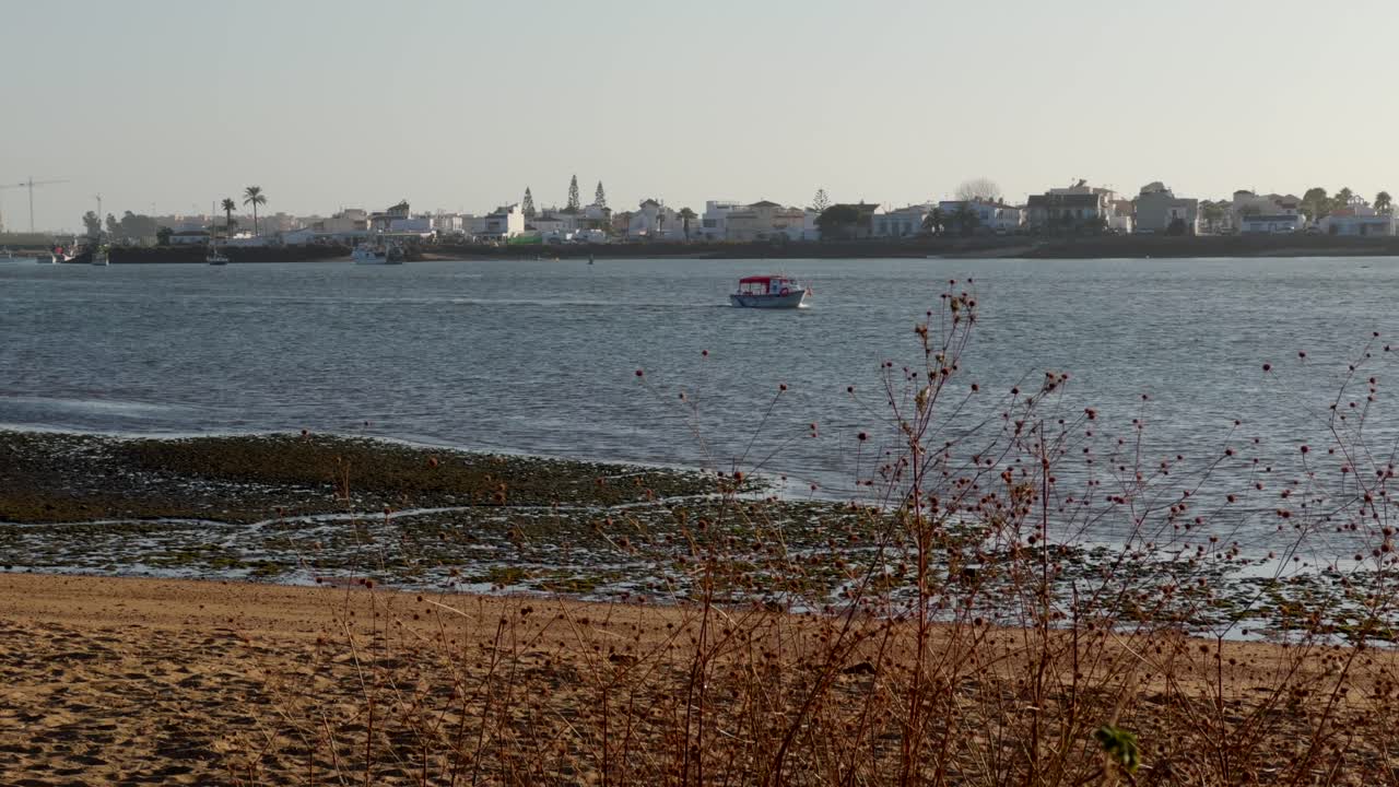 Fishing boats leaving and entering the harbor at sunset