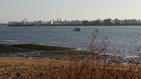 Fishing boats leaving and entering the harbor at sunset