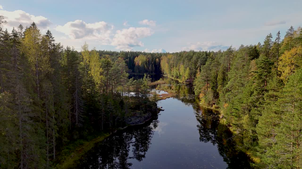 Aerial View of a Calm Forest Lake in Autumn