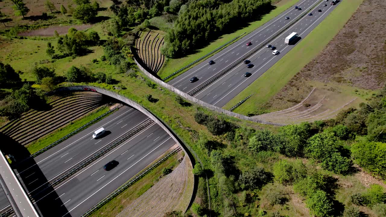 antena aérea constante ascendente de la autopista atravesada por el cruce de vida silvestre para que los animales migren entre las áreas de conservación revelando un puente para bicicletas además