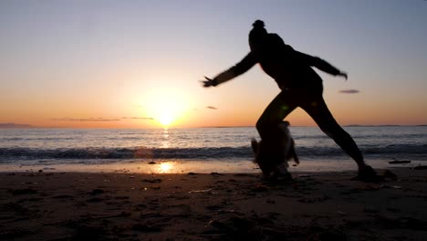 woman plays catch in a circle with her shepherd dob on the beach