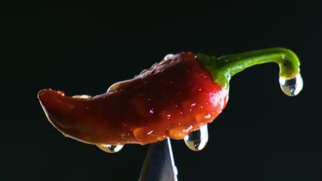 closeup of a red chilli on top of a knife against black background