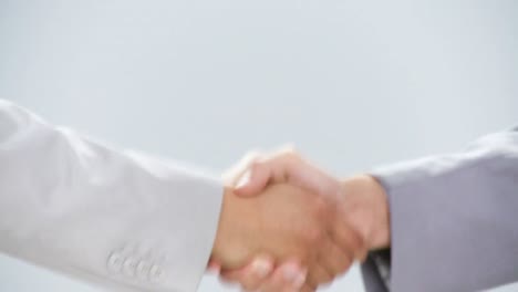 close up of professional handshake