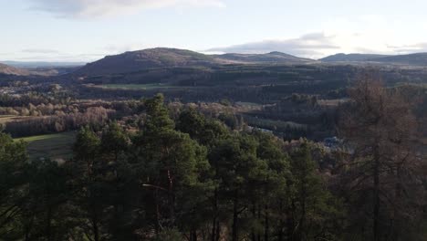 aerial drone footage flying off a cliff close to the canopy of scots pine and larch trees to reveal a hilly, woodland valley landscape in winter at polney crag near dunkeld scotland