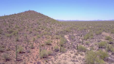 aerial shot over desert cactus in saguaro national park near tucson arizona 1