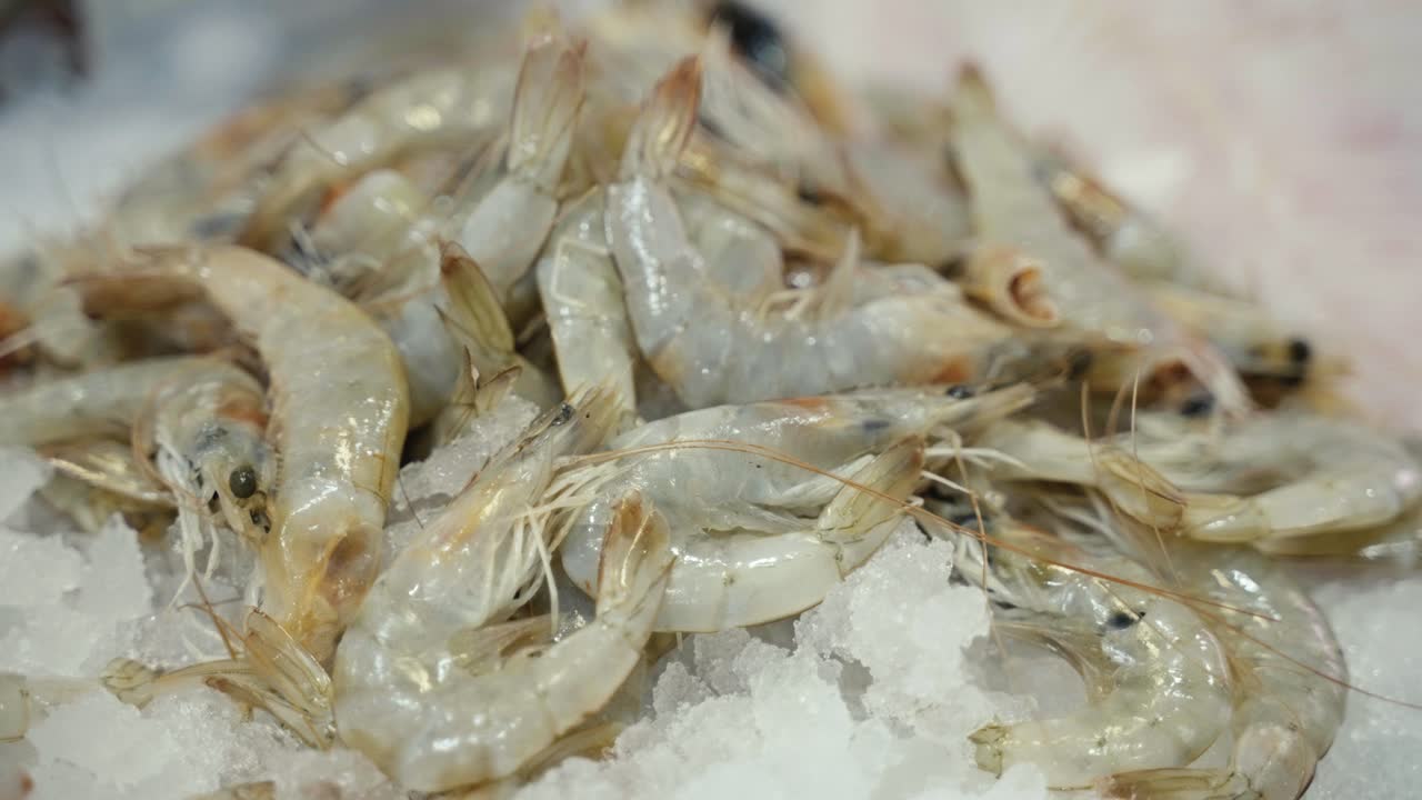 primer plano de gambas crudas frescas sobre una cama de hielo