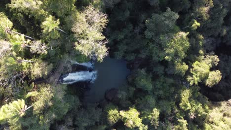 Salto-Arrechea-waterfall-and-natural-pool-in-jungle-at-border-between-Argentina-and-Brazil,-Iguazu-falls-National-Park