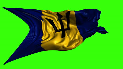 flag of barbados