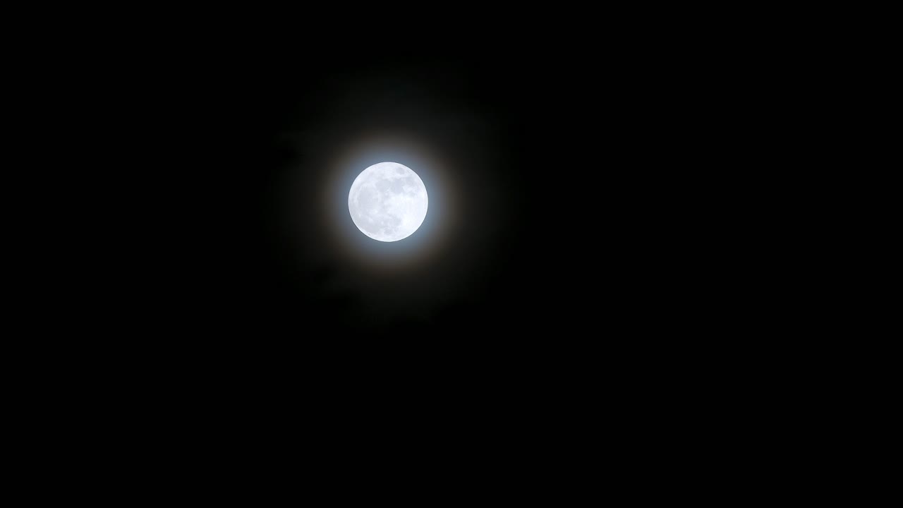 luna blanca gris brillante llena de superluna azul en el cielo con ramas de arbustos balanceándose en el viento en primer plano