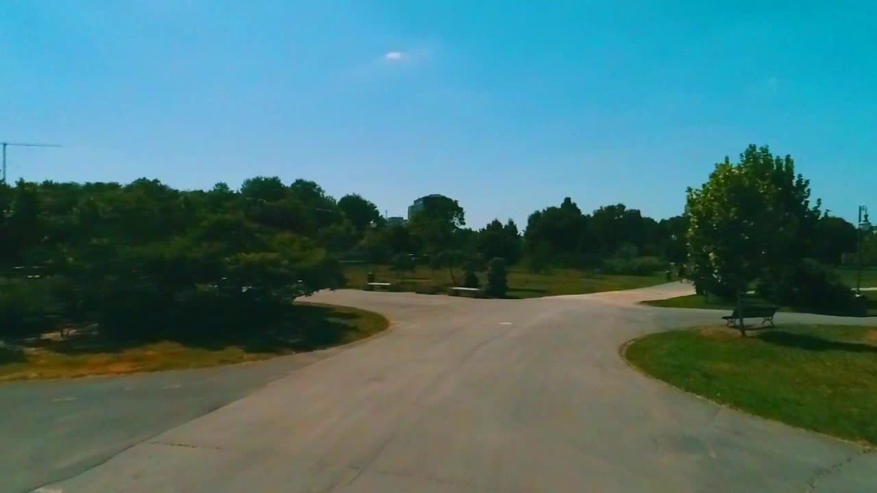 Park scene with walking path