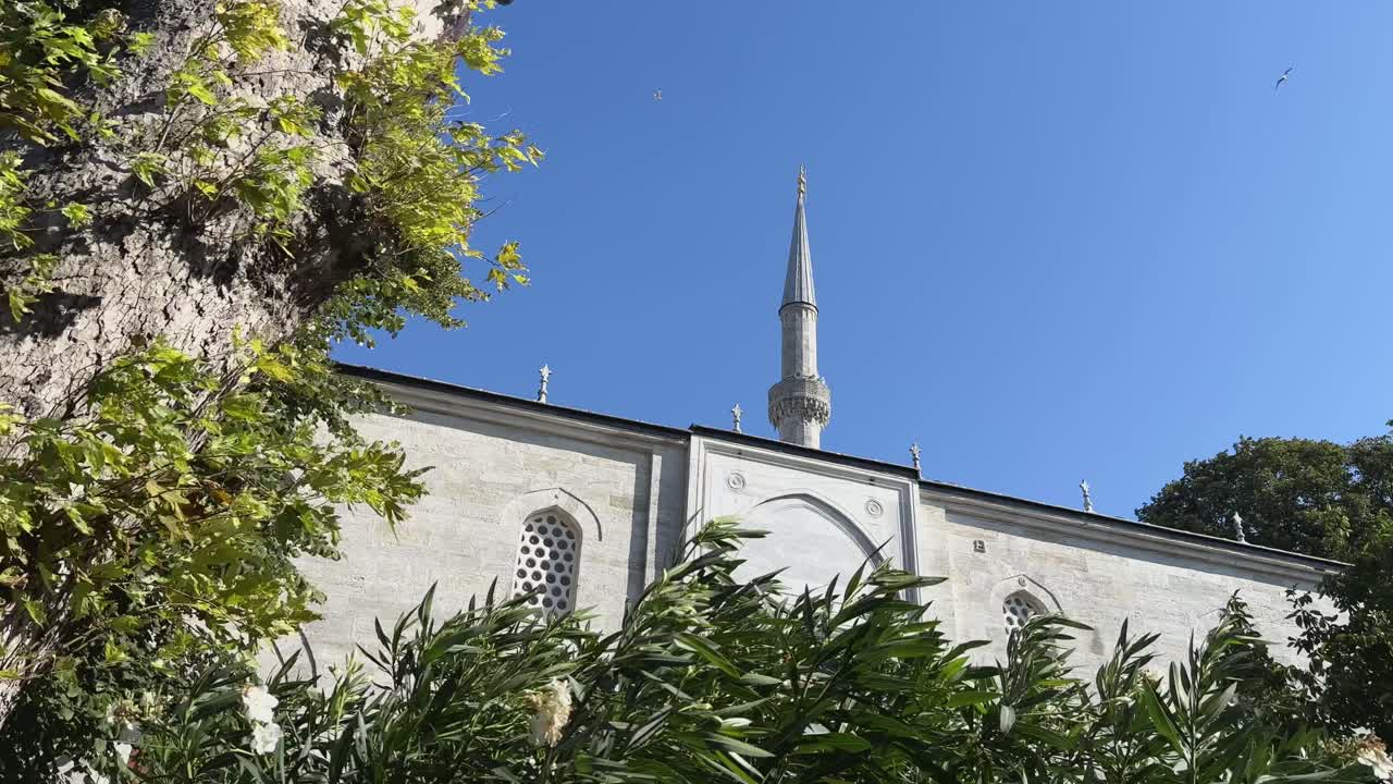 La Moschea di Solimano che si intravede dietro alti alberi all'ingresso