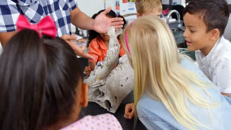 Mid-section-of-male-teacher-explaining-animal-skeleton-model-in-the-classroom--4k