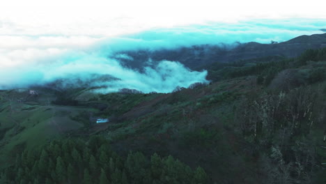 Hermosa-Vista-Aérea-Durante-La-Puesta-De-Sol-Y-Sobre-El-Bosque-De-Pinos-Canarios-Y-Un-Mar-De-Nubes-Al-Fondo